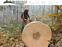 Tablet Screenshot of blueridgeforestry.com
